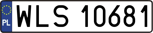 WLS10681