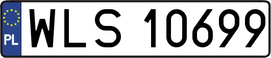 WLS10699