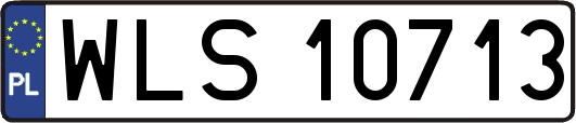 WLS10713