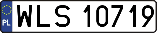 WLS10719