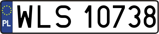 WLS10738