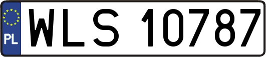 WLS10787