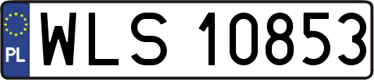 WLS10853