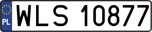 WLS10877