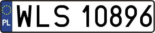 WLS10896