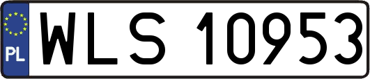 WLS10953