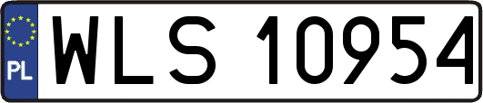 WLS10954