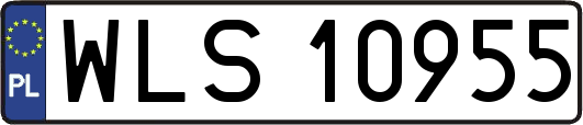 WLS10955