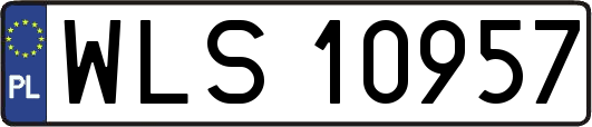 WLS10957