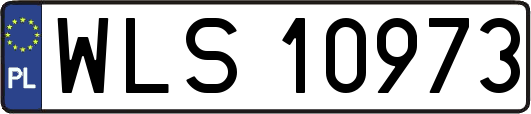 WLS10973