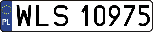 WLS10975