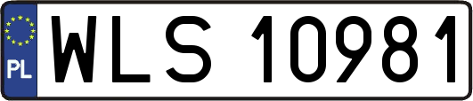 WLS10981