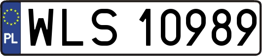WLS10989