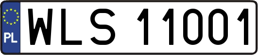WLS11001