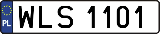 WLS1101