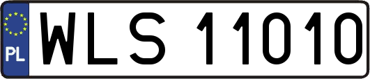 WLS11010