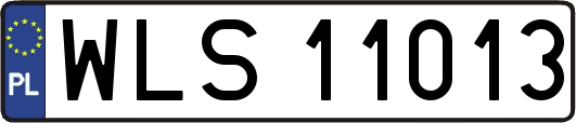 WLS11013