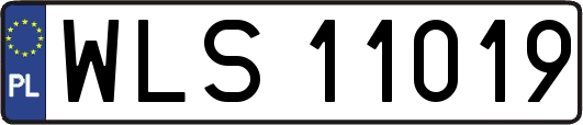 WLS11019