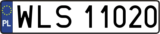 WLS11020
