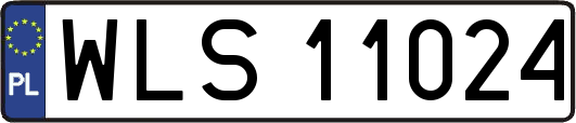 WLS11024
