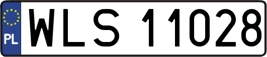 WLS11028
