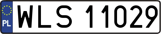 WLS11029