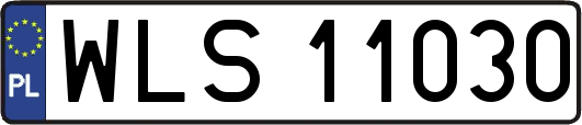 WLS11030