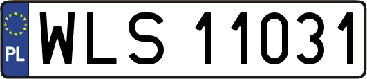 WLS11031