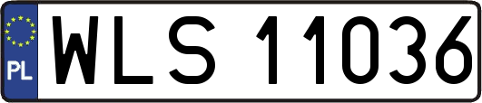 WLS11036