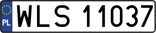 WLS11037