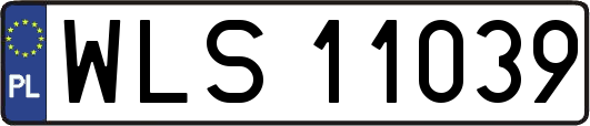 WLS11039