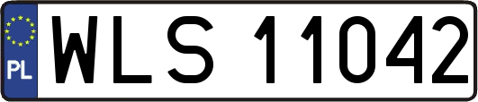WLS11042