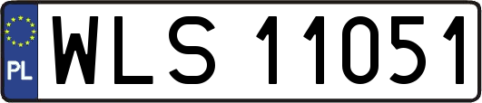 WLS11051