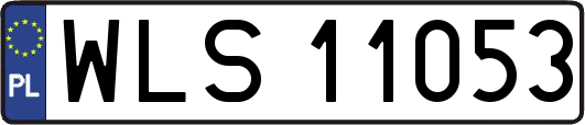 WLS11053
