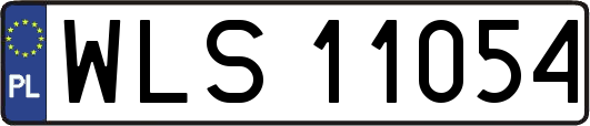 WLS11054