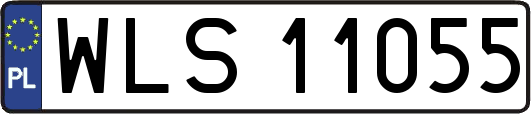 WLS11055