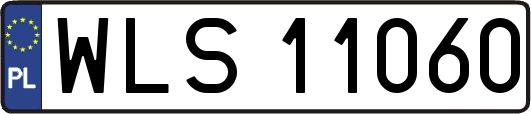 WLS11060