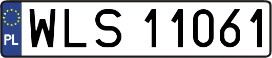 WLS11061