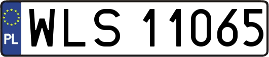 WLS11065