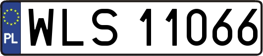 WLS11066