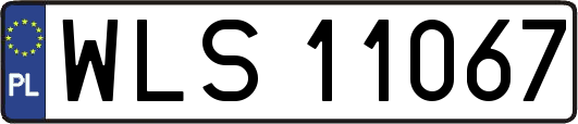 WLS11067