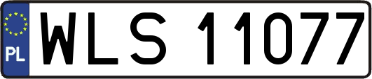 WLS11077