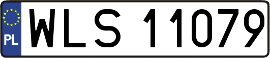 WLS11079