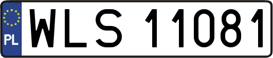 WLS11081
