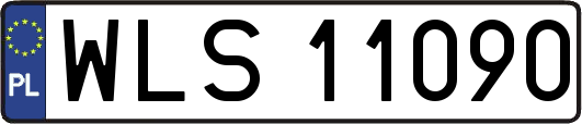WLS11090