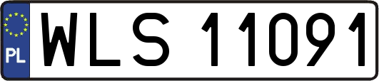 WLS11091