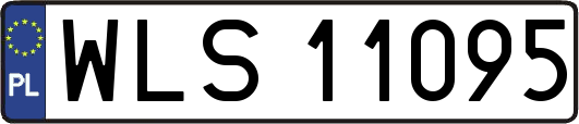 WLS11095