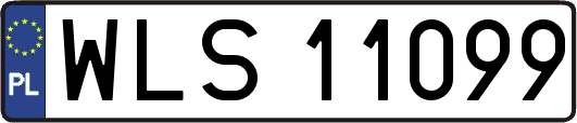 WLS11099