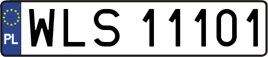 WLS11101