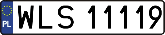 WLS11119